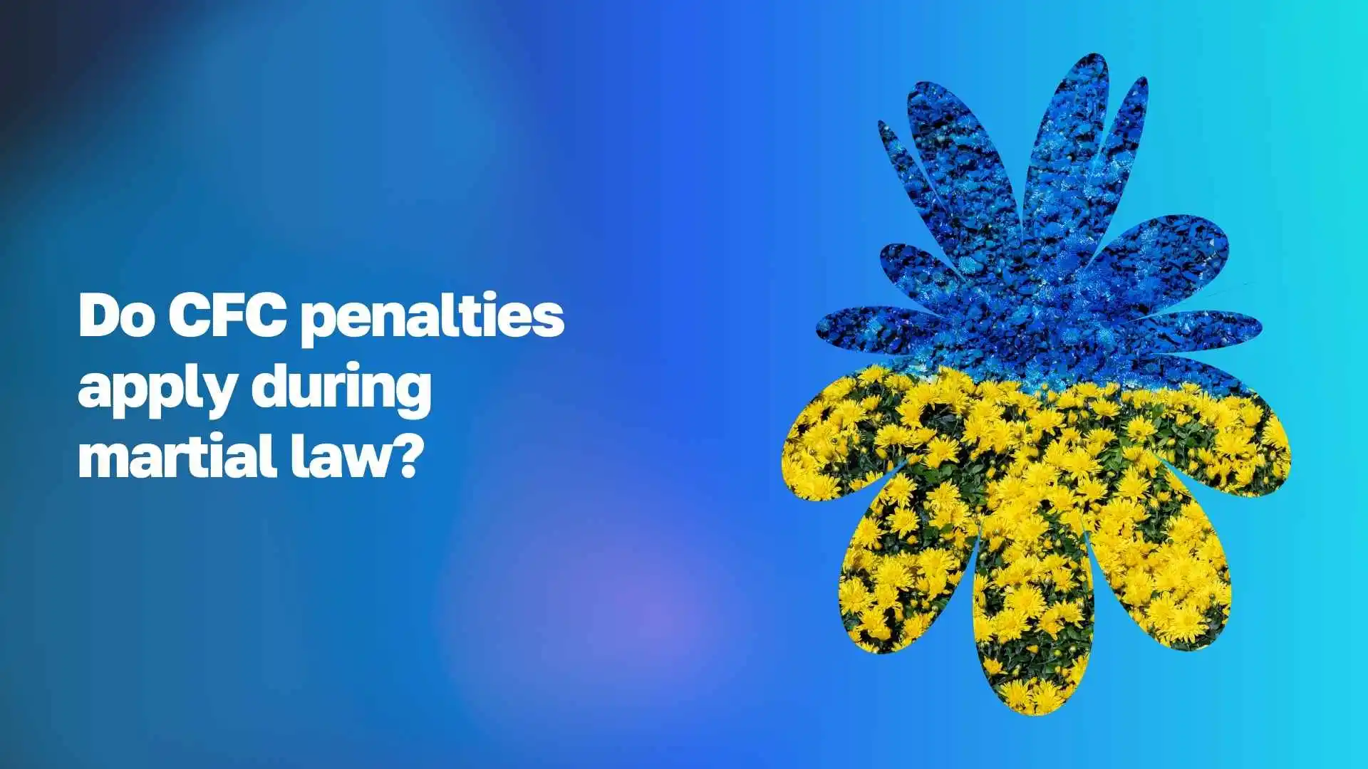 Помилки у КІК-звітності у 2026 році WoBorders