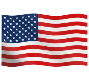 Usa flag business setup service