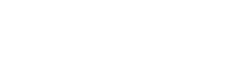 Bnc auto logo | woborders