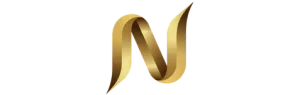 Nefraxis digital logo
