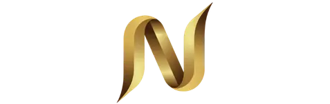 Nefraxis digital logo | woborders